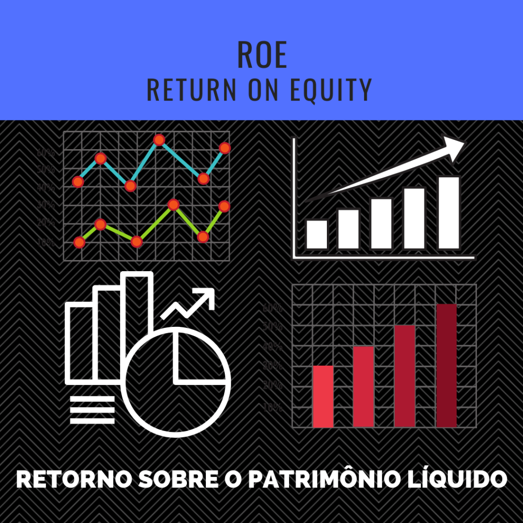 ROE – Retorno Sobre O Patrimônio - IGO